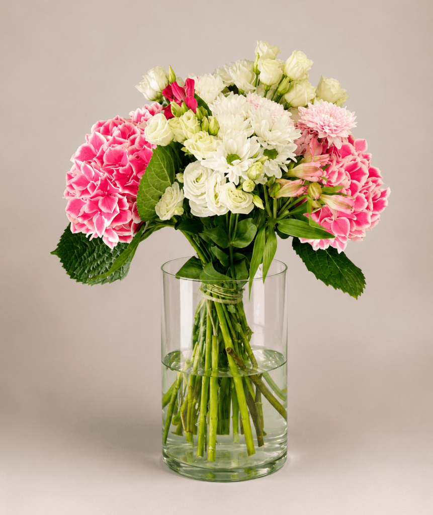 Hydrangea Glow